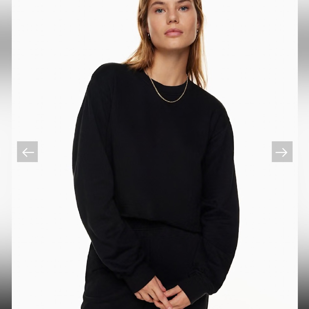 Tna ARITIZIA Boyfriend Cropped Sweatshirt Black Cropped‎ Crewneck Sweatshirt